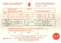 [Birth Certificate]